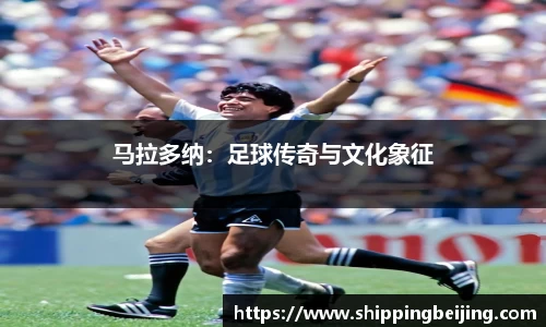 博鱼.体育官网