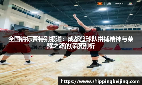全国锦标赛特别报道：成都篮球队拼搏精神与荣耀之路的深度剖析
