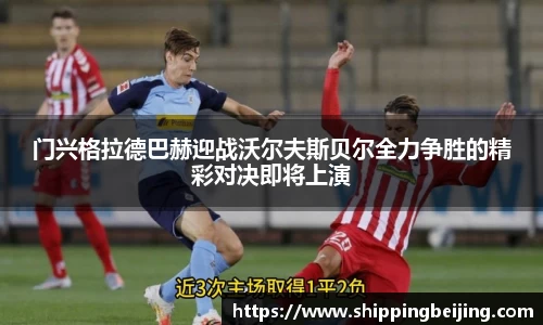 门兴格拉德巴赫迎战沃尔夫斯贝尔全力争胜的精彩对决即将上演
