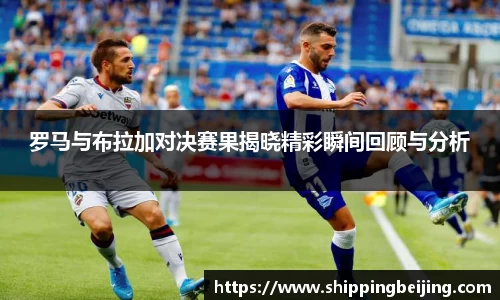 博鱼.体育官网