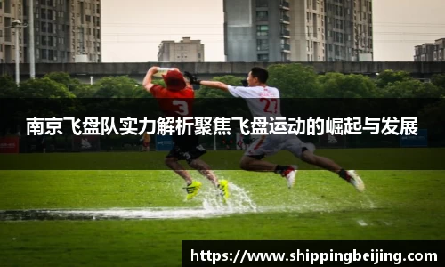 南京飞盘队实力解析聚焦飞盘运动的崛起与发展